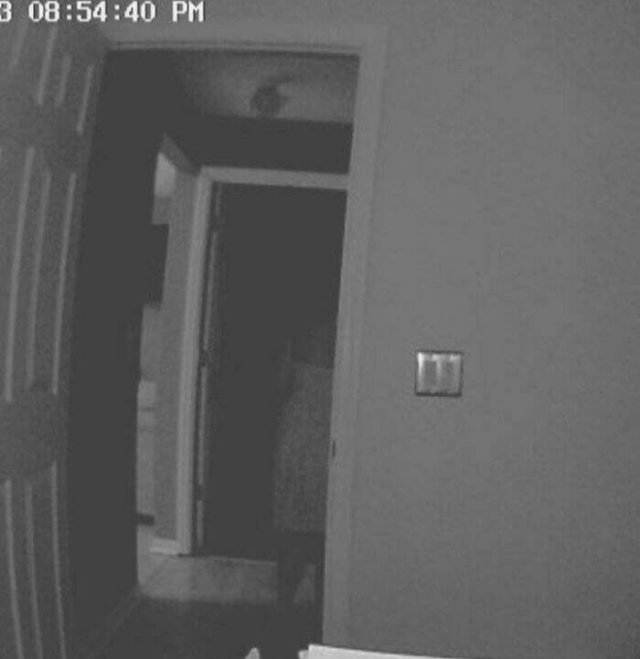 Creepy Photos And Finds (25 pics)