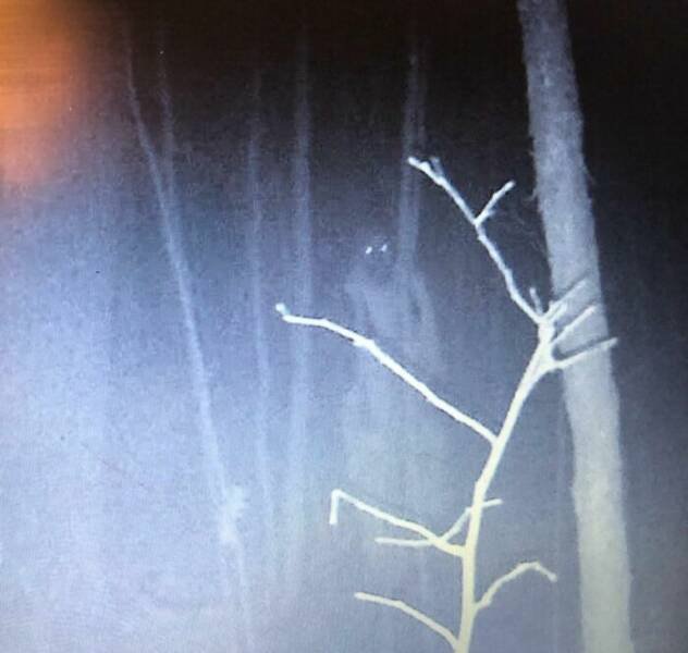 Creepy Photos And Finds (25 pics)