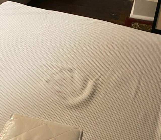 Creepy Photos And Finds (25 pics)