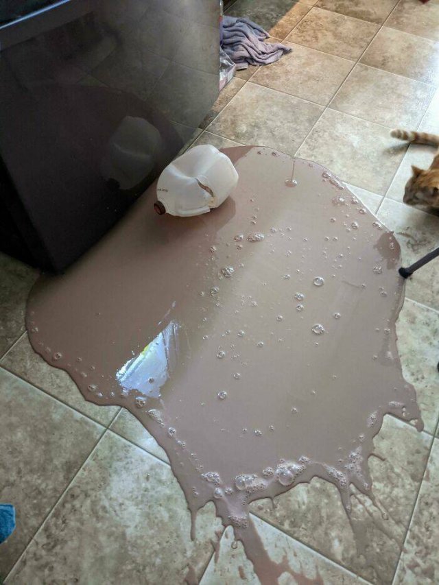 Kids Are Chaos (24 pics)
