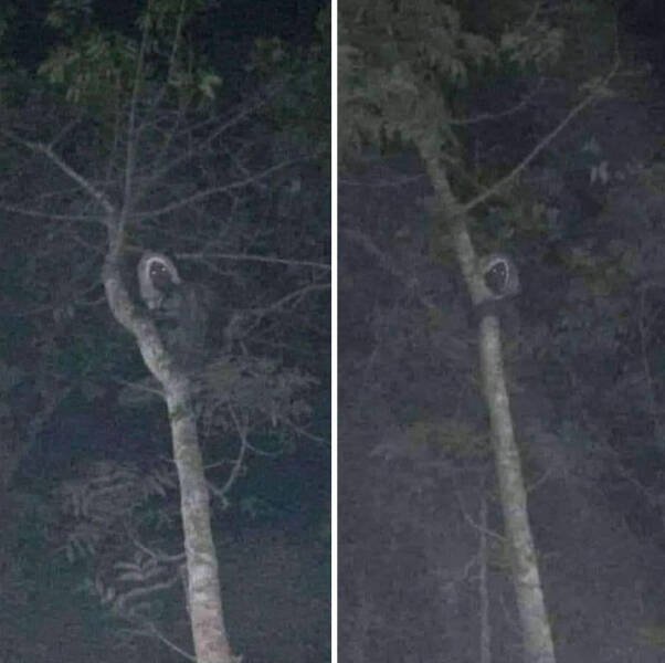 Creepy Photos And Finds (25 pics)