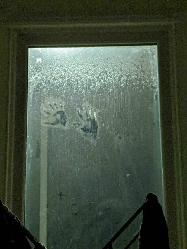 Creepy Photos And Finds (25 pics)