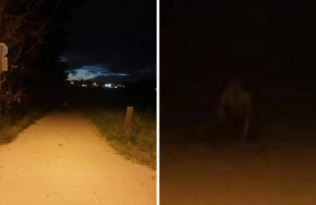 Creepy Photos And Finds (25 pics)
