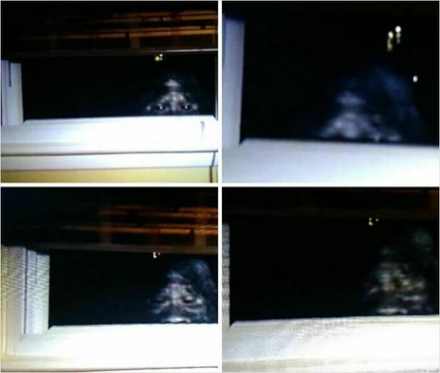 Creepy Photos And Finds (25 pics)