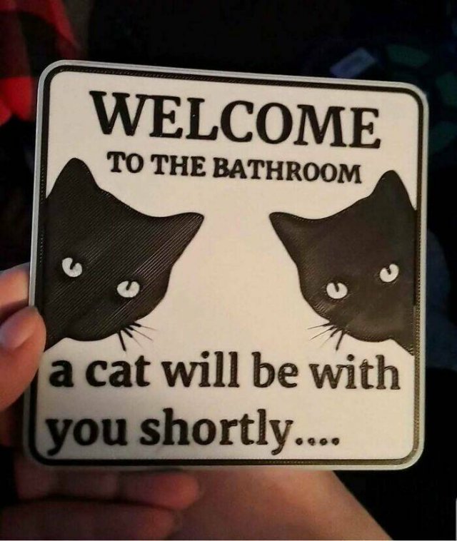 Memes For Cat Lovers (25 pics)