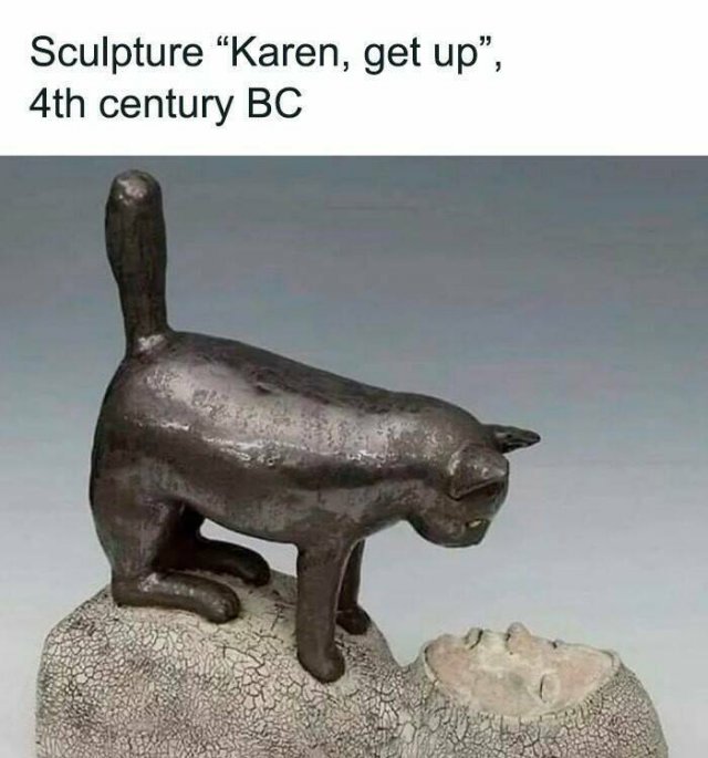 Memes For Cat Lovers (25 pics)