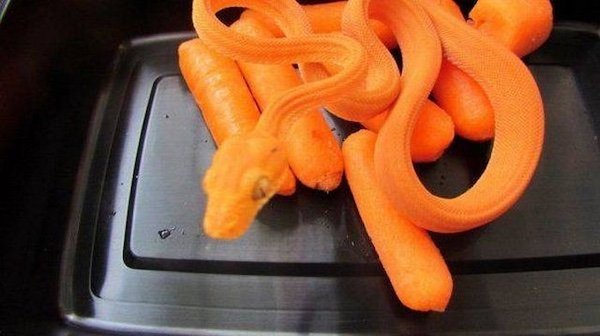 Optical Illusions (34 pics)