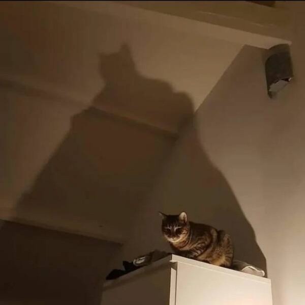 Optical Illusions (34 pics)