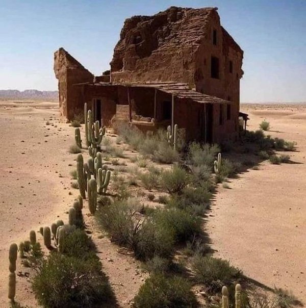 Optical Illusions (34 pics)