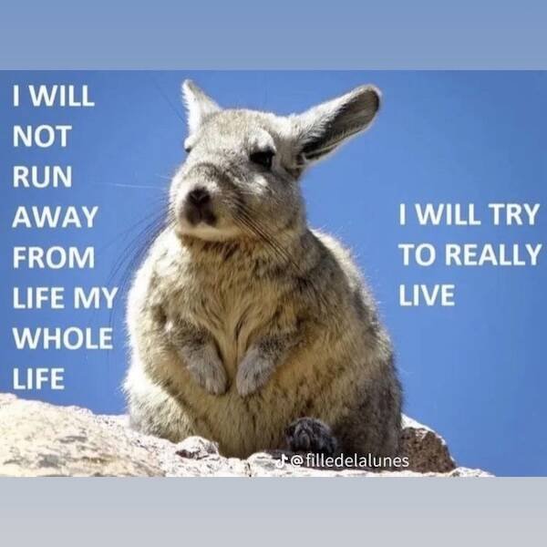 Motivational Pictures (15 pics)