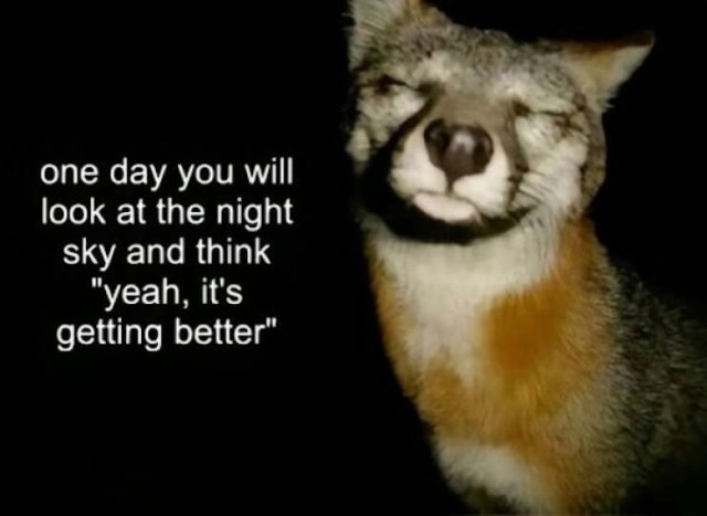 Motivational Pictures (15 pics)