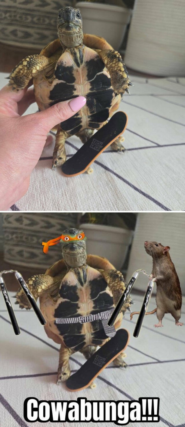 Funny Photoshop (20 pics)