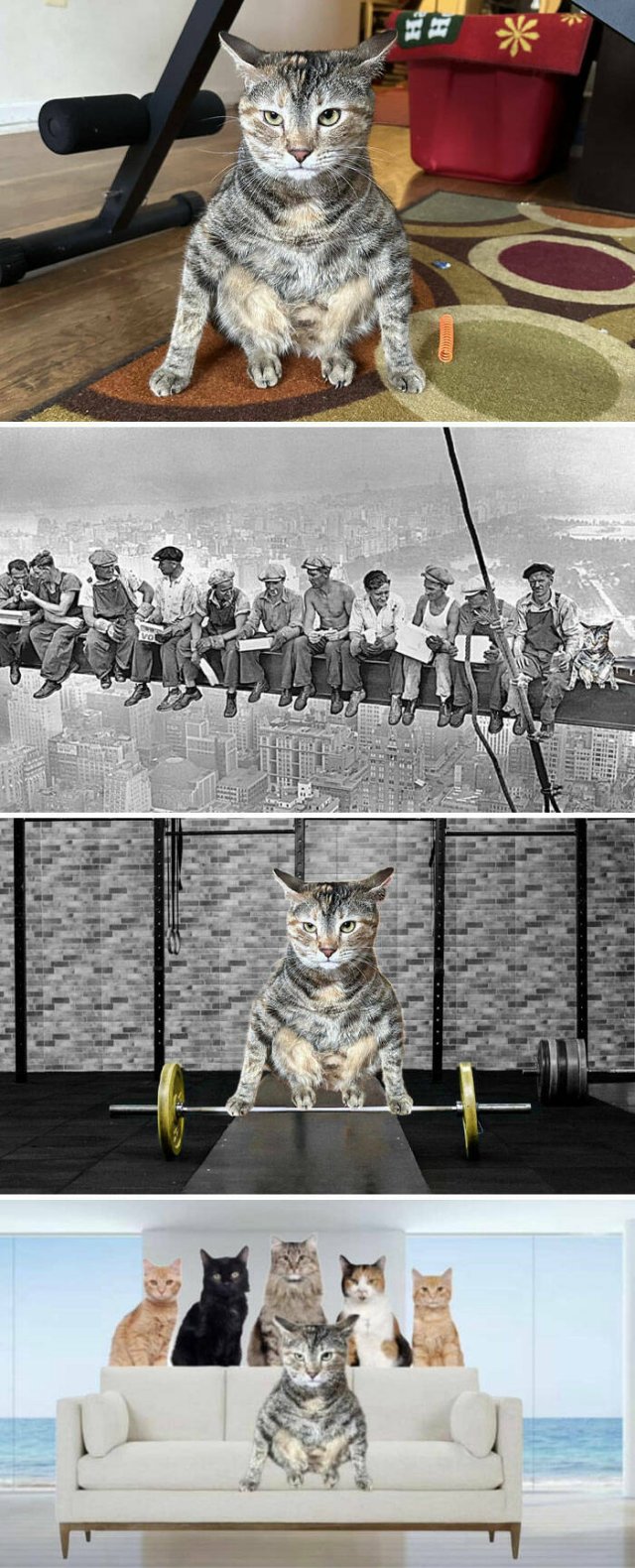 Funny Photoshop (20 pics)