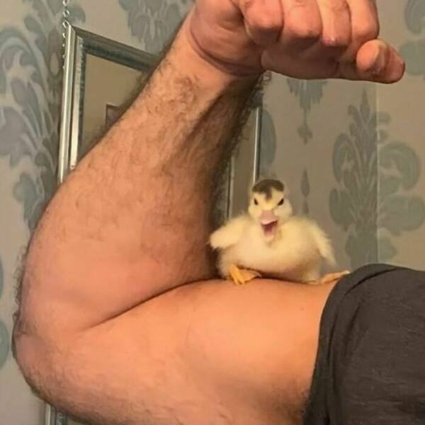 What Is Going On Here? (20 pics)