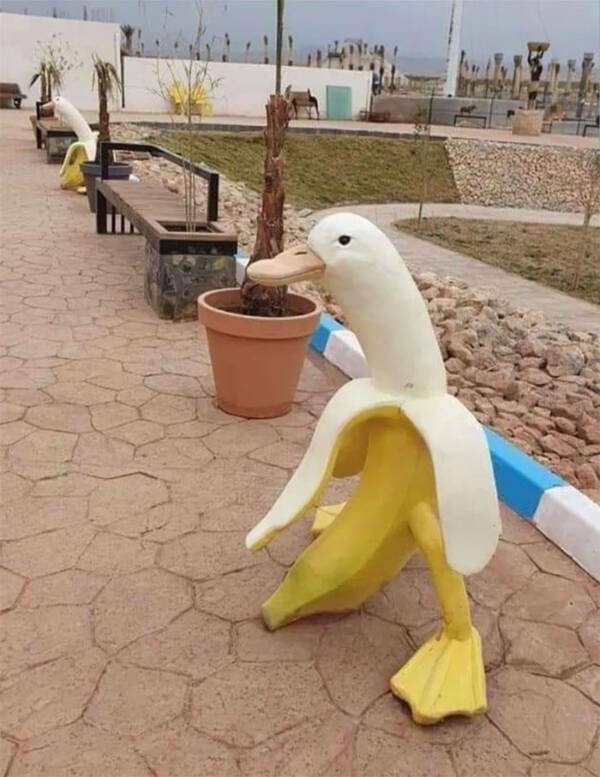 Really Strange Situations (26 pics)
