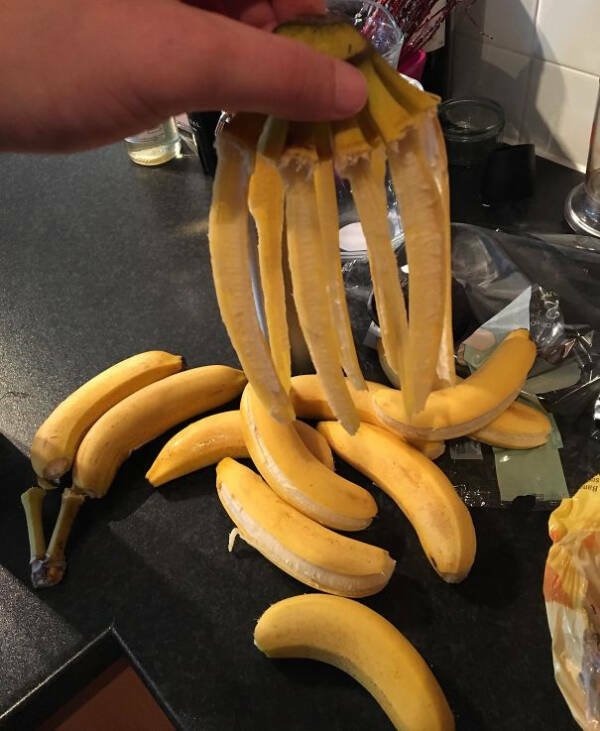 Bad Days Happen (25 pics)