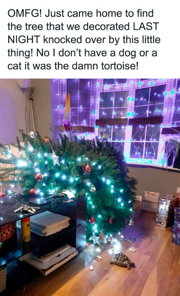 Bad Days Happen (25 pics)
