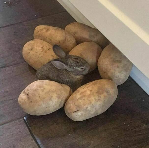 What Is Going On Here? (20 pics)
