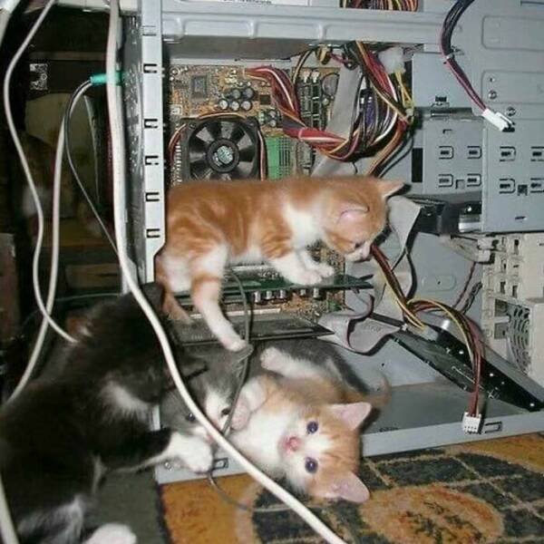 What Is Going On Here? (20 pics)