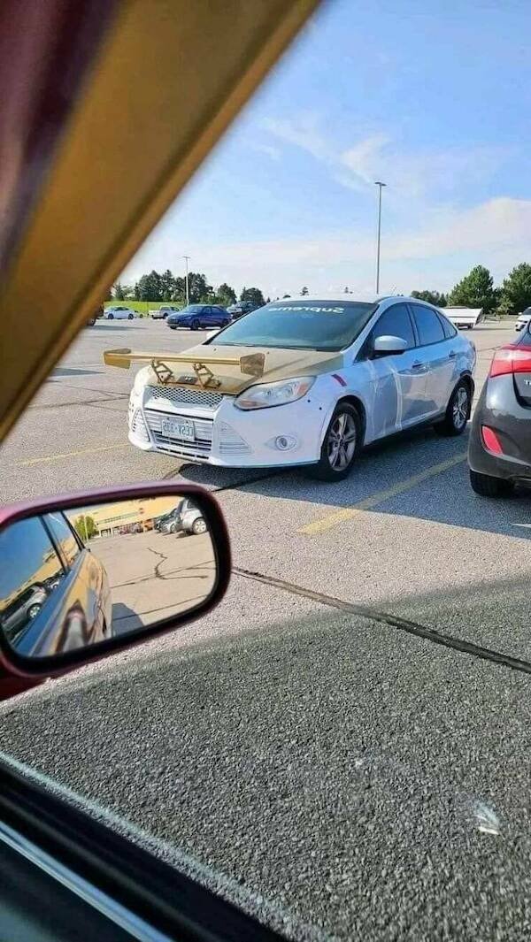 Wild Vehicles (21 pics)