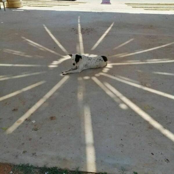 What Is Going On Here? (20 pics)