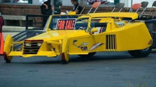 Wild Vehicles (21 pics)