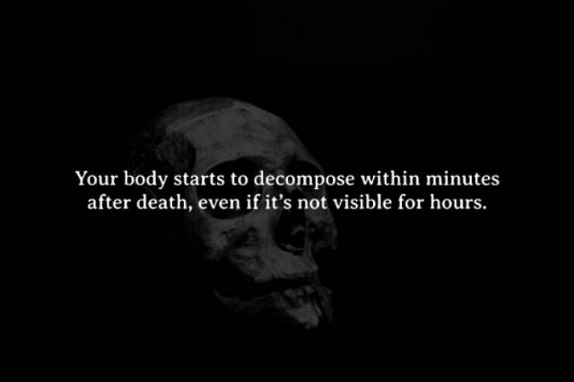 Scary Facts (15 pics)