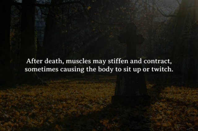 Scary Facts (15 pics)