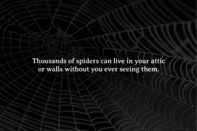 Scary Facts (15 pics)