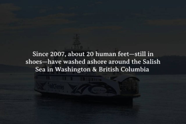 Scary Facts (15 pics)