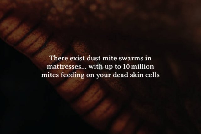 Scary Facts (15 pics)