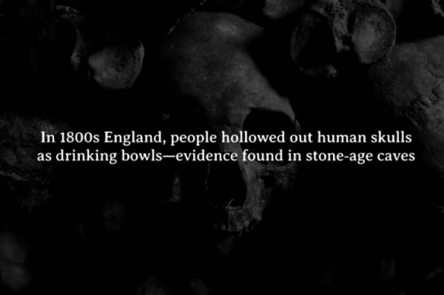 Scary Facts (15 pics)