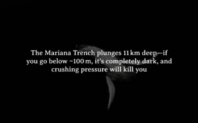 Scary Facts (15 pics)