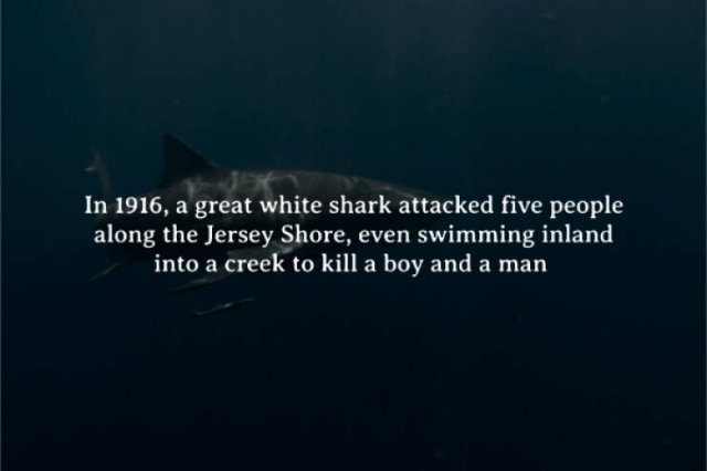Scary Facts (15 pics)