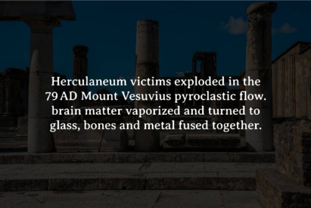 Scary Facts (15 pics)