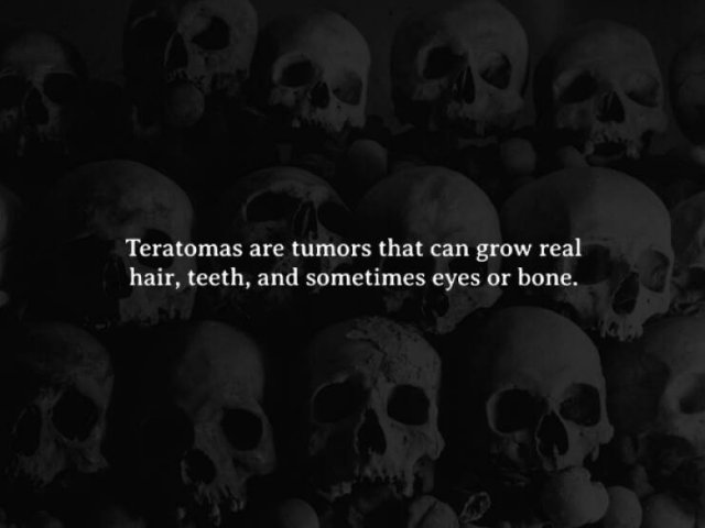 Scary Facts (15 pics)