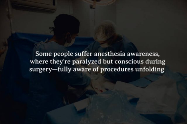 Scary Facts (15 pics)