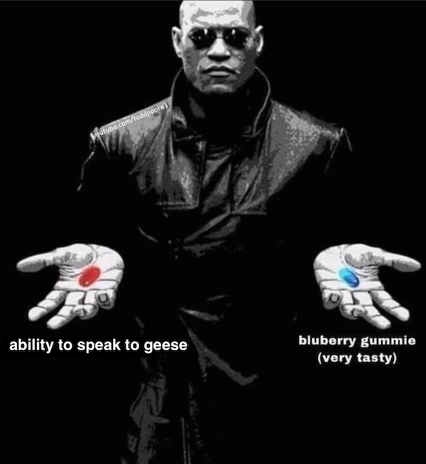 Funny Memes (42 pics)