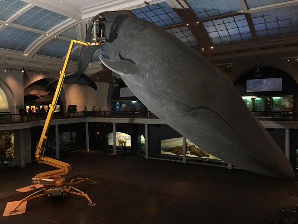 Interesting Finds And Discoveries (25 pics)