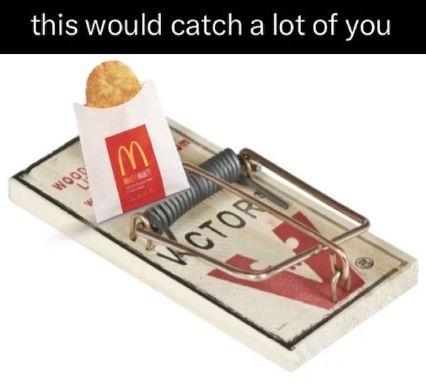 Funny Memes (42 pics)