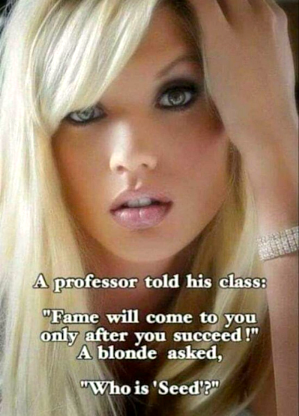Funny Memes (42 pics)