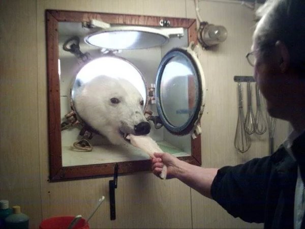 Interesting Finds And Discoveries (25 pics)