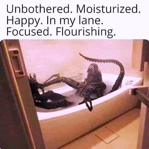 Funny Memes (42 pics)