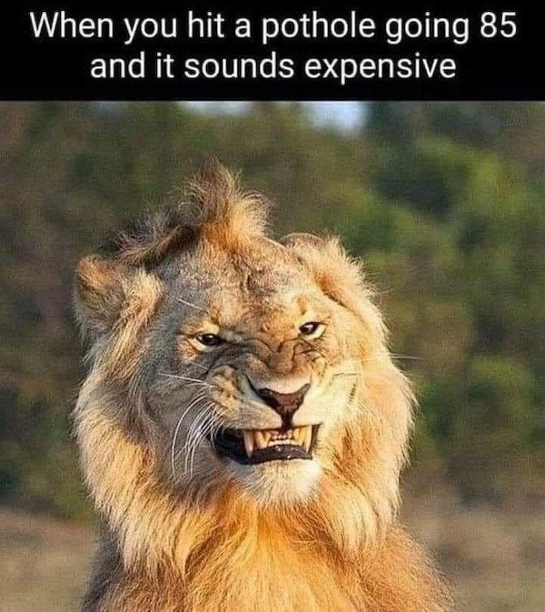 Funny Memes (42 pics)