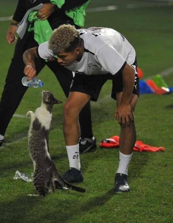 Hilarious Photos (24 pics)