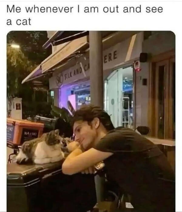 Hilarious Photos (24 pics)