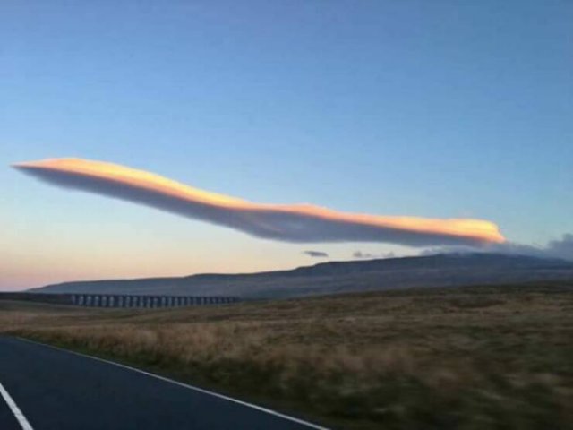 Optical Illusions (24 pics)