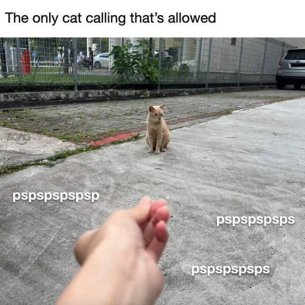 Hilarious Photos (24 pics)