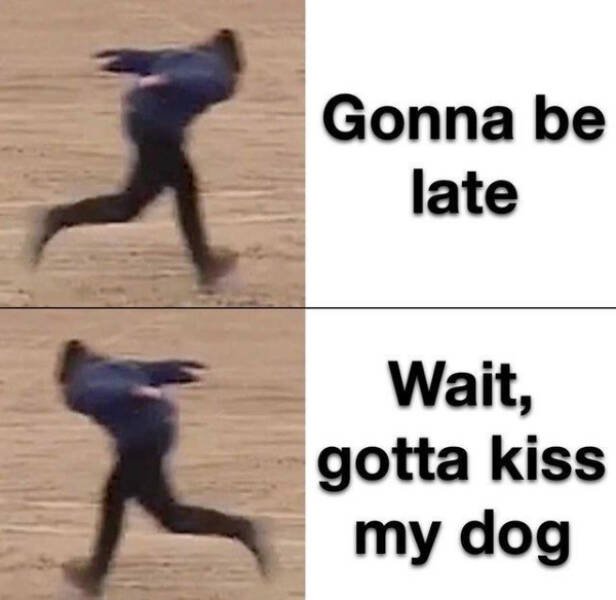 Hilarious Photos (24 pics)