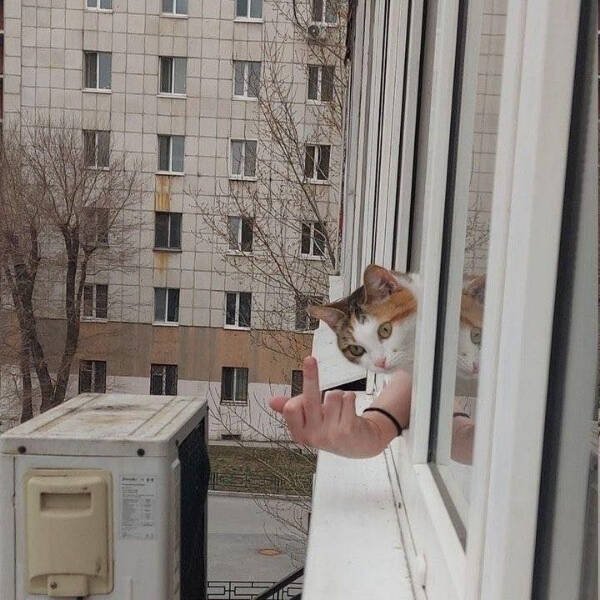 Hilarious Photos (24 pics)